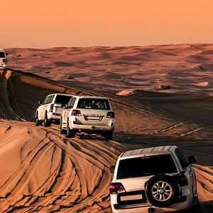 Desert Safari