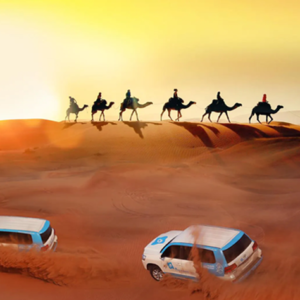 Desert Safari