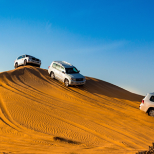 Desert Safari