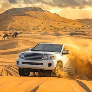 Evening Desert Safari