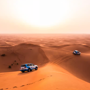 Desert Safari